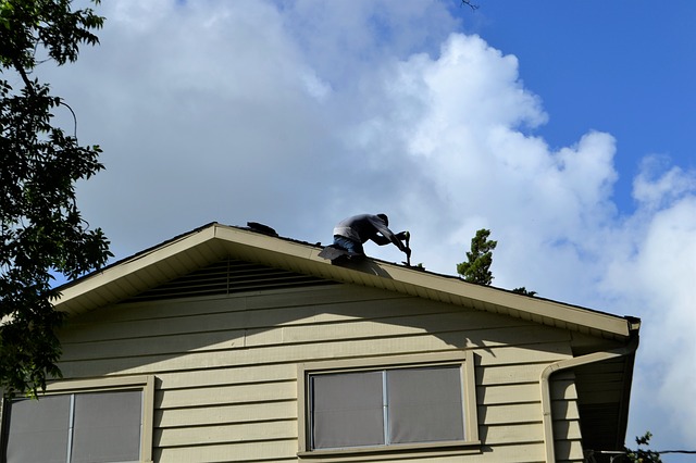 Person fixing a roof