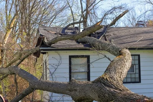 Storm damage to roof, tree fallen on roof