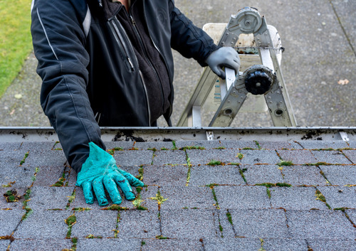 Man Cleaning Roof