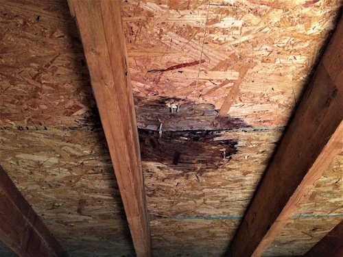 Roof Leak in Attic